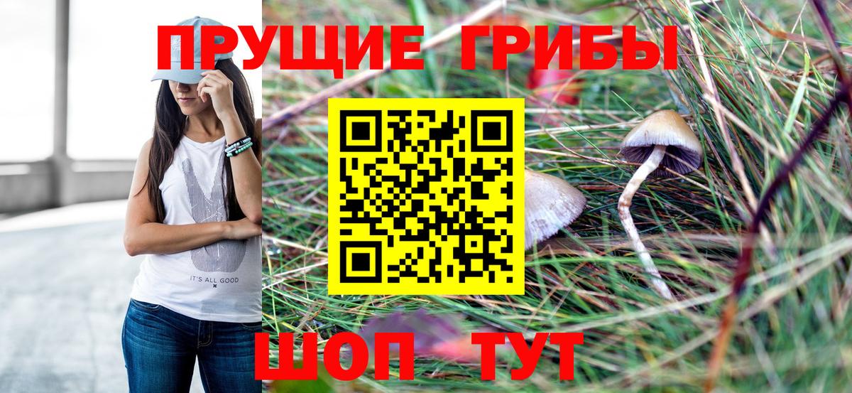 Псилоцибиновые грибы мухоморы Саратов